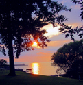 Olcott 024
